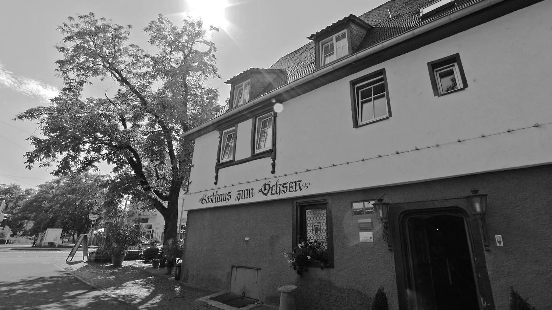 Gasthaus Zum Ochsen Mannheim Germany